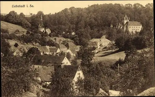 Ak Liebstadt im Erzgebirge, Ortschaft