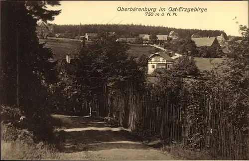 Ak Oberbärenburg Altenberg im Osterzgebirge, Teilansicht vom Ort, Wald