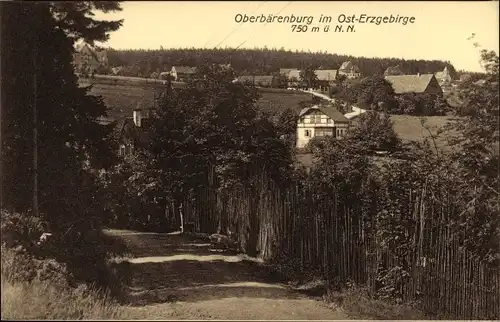 Ak Oberbärenburg Altenberg im Osterzgebirge, Teilansicht vom Ort, Wald