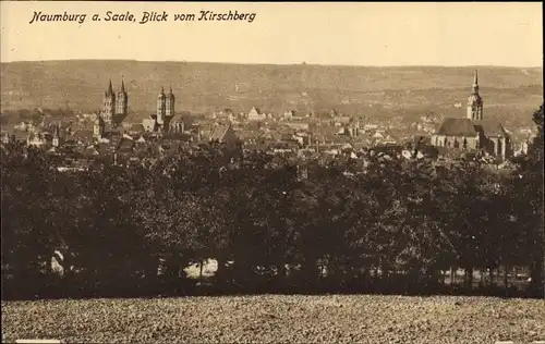Ak Naumburg an der Saale, Stadtpanorama vom Kirschberg aus gesehen