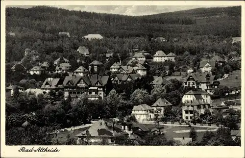 Ak Polanica Zdrój Bad Altheide Schlesien, Panoramaansicht von Ortschaft und Umgebung