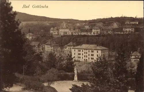 Ak Bad Gottleuba in Sachsen, Blick auf den Ort mit Umgebung, Denkmal