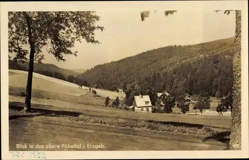 Ak Pöbeltal Dippoldiswalde im Osterzgebirge, Talansicht, Häuser, Wald