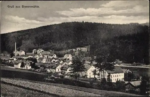 Ak Rechenberg Bienenmühle Erzgebirge, Blick auf den Ort, Wald