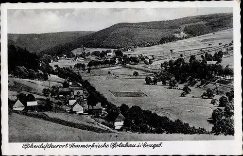 Ak Holzhau Rechenberg Bienenmühle Erzgebirge, Ort mit Umgebung, Felder