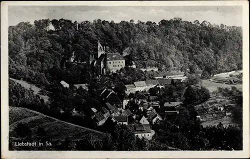 Ak Liebstadt im Erzgebirge, Gesamtansicht