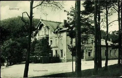 Ak Coswig in Sachsen, Blick zur Spitzgrundmühle, Spitzberg