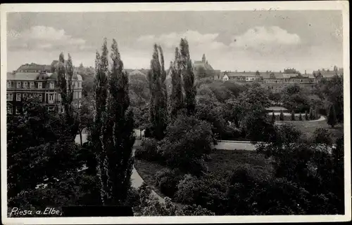 Ak Riesa an der Elbe Sachsen, Stadtansicht, Parkanlage, Stengel