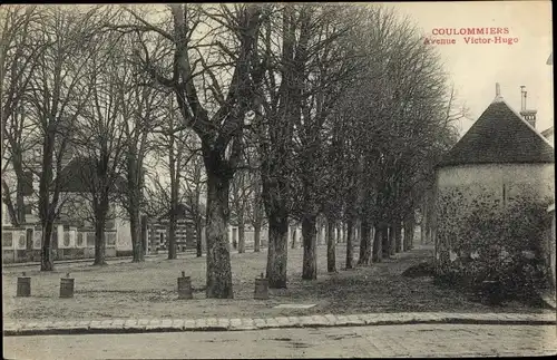 Ak Coulommiers Seine et Marne, Avenue Victor Hugo, arbres