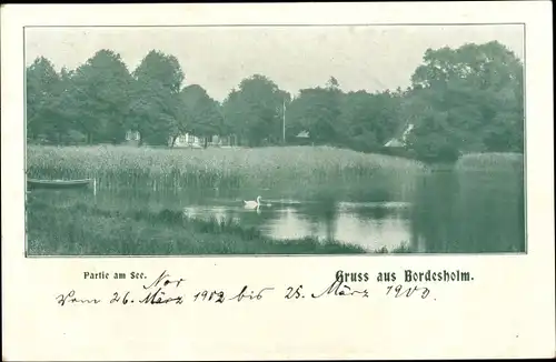 Ak Bordesholm in Schleswig Holstein, Partie am See, Schwan