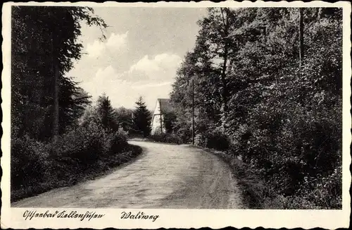 Ak Kellenhusen an der Ostsee, Waldweg