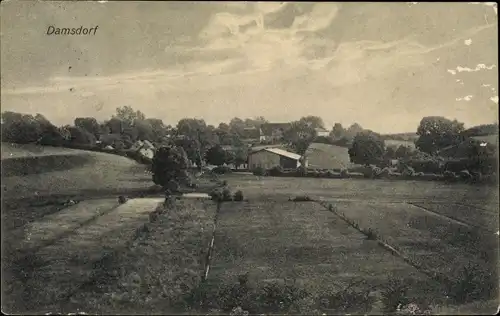 Ak Damsdorf in Schleswig Holstein, Panorama vom Ort