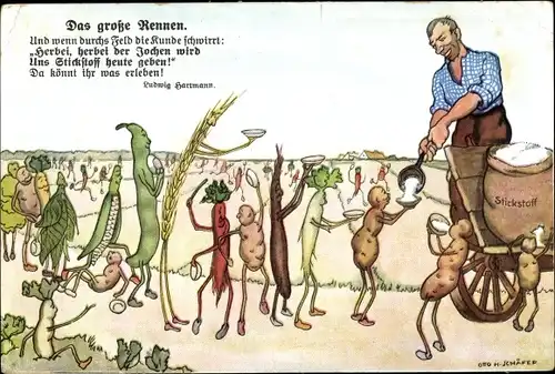 Künstler Ak Schäfer, Otto H., Das große Rennen, Stickstoff, Kali, Gemüse, Landwirt, Dünger