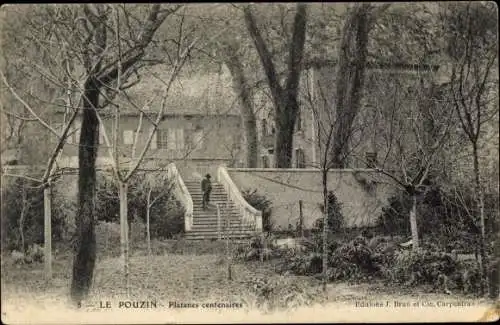 Ak Le Pouzin Ardèche, Platanes centenaires