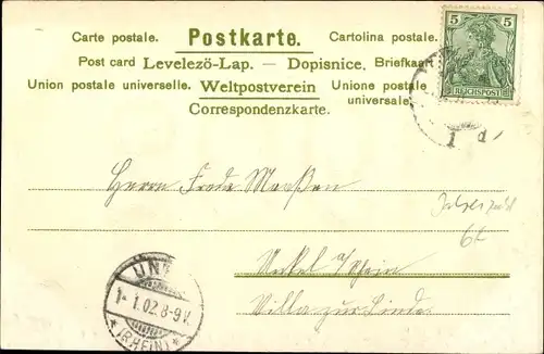 Litho Glückwunsch Neujahr, Jahreszahl 1902, Hufeisen, Veilchen