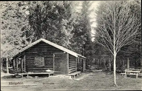 Ak Königsfeld im Schwarzwald, Blockhütte, Waldpartie