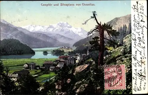 Ak Chasellas St. Moritz Graubünden, Campfer, Silvaplatte