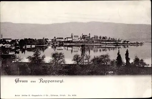 Ak Rapperswil Jona St. Gallen, Panorama