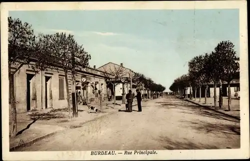 Ak Burdeau Algerien, Rue Principale, magasins