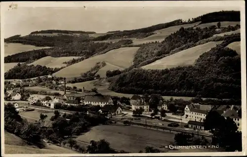 Ak Grimmenstein in Niederösterreich, Ortschaft
