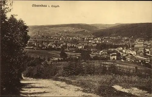 Ak Olbernhau im Erzgebirge Sachsen, Blick auf den Ort mit Umgebung