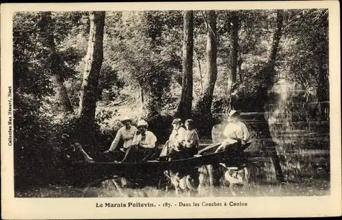 Ak Coulon Deux Sevres, Le Marais Poitevin, Dans les Conches