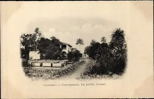 Ak Conakry Guinea, Camayenne, le jardin d'essai