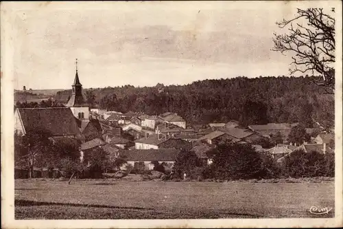 Ak Doulevant le Chateau Haute Marne, Gesamtansicht