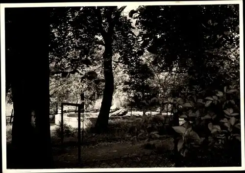 Foto Ak Hamburg Altona, Brunnen mit Riesenrobbe Statue, Garten der Palmaille 1960