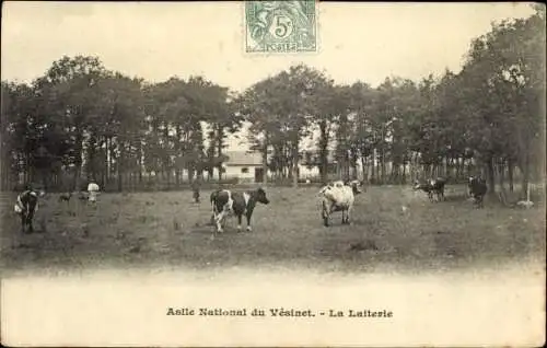 Ak Vesinet Yvelines, Asile National, La Laiterie