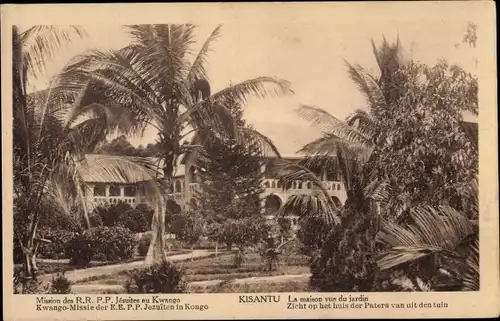 Ak Kisantu DR Kongo Zaire, Mission des RRPP Jesuites au Kwango, palmiers