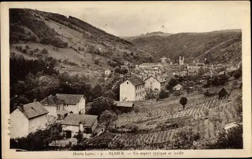 Ak Blesle Haute Loire, Un aspect typique et inédit