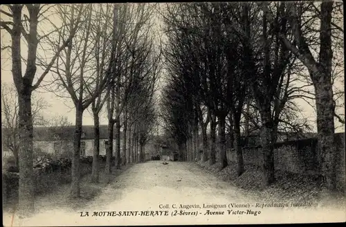 Ak La Mothe Saint Heraye Deux Sevres, Avenue Victor Hugo