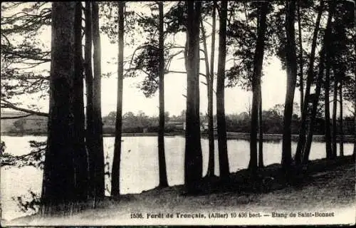 Ak Allier, Forêt de Troncais, Etang de Saint Bonnet