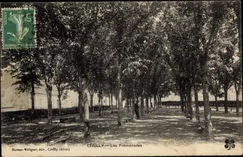 Ak Cerilly Allier, Les Promenades