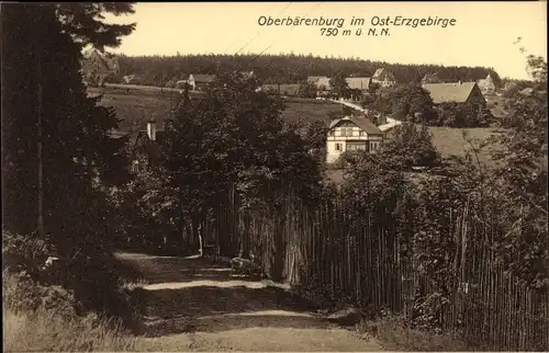 Ak Oberbärenburg Altenberg im Osterzgebirge, Teilansicht vom Ort, Wald