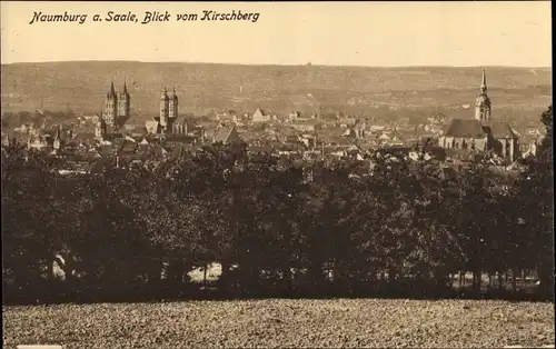 Ak Naumburg an der Saale, Stadtpanorama vom Kirschberg aus gesehen