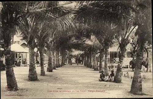 Ak Lac Cayo Franz. Kongo, Une Allee de cocotiers