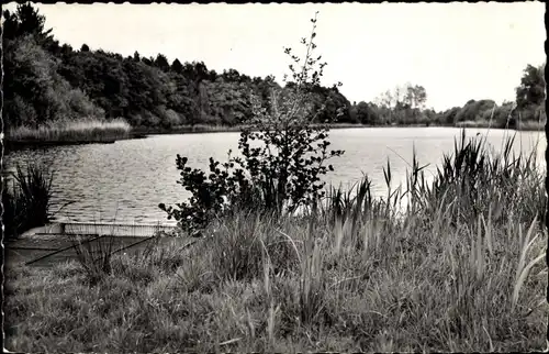 Ak Ligny Le Ribault Loiret, Un Etang