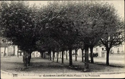 Ak St. Sornin Leulac Haute Vienne, La Promenade, Straßenpartie