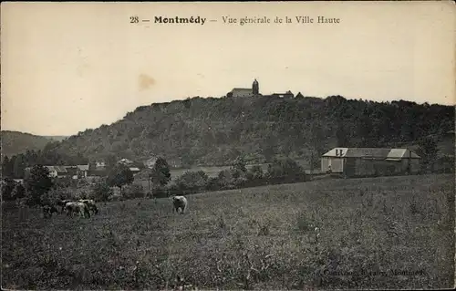 Ak Montmédy Lothringen Meuse, Vue generale de la Ville Haute, Rinder