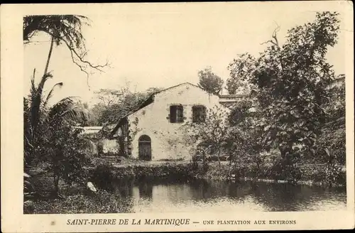 Ak St. Pierre Martinique, une plantation aux environs