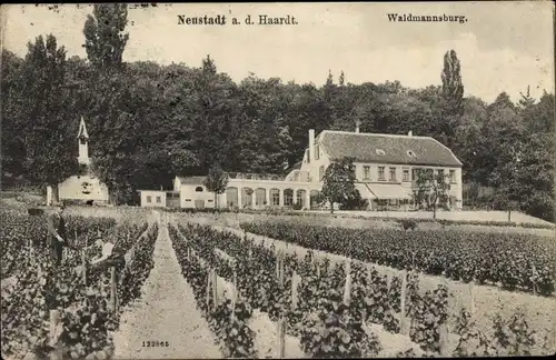 Ak Neustadt an der Weinstraße, Waldmannsburg