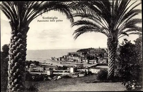 Ak Ventimiglia Liguria, Panorama dalle palme