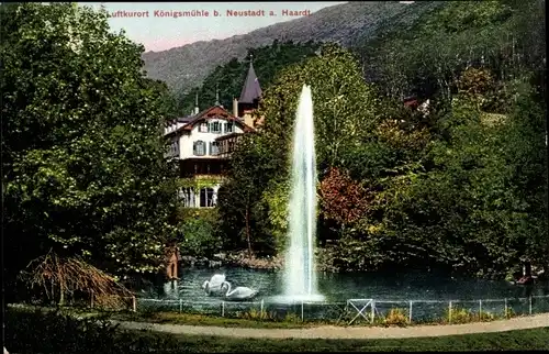 Ak Neustadt an der Weinstraße, Königsmühle, Teich mit Schwänen