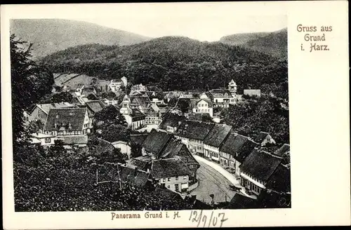 Ak Bad Grund im Harz, Panorama vom Ort