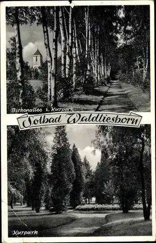 Ak Waldliesborn Lippstadt im Kreis Soest Nordrhein Westfalen, Birkenallee im Kurpark