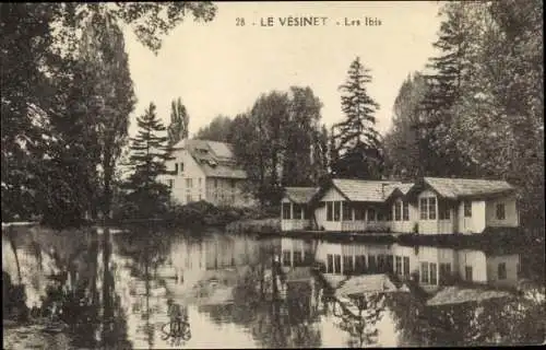 Ak Le Vésinet Yvelines, Les Ibis, Lac, édifices