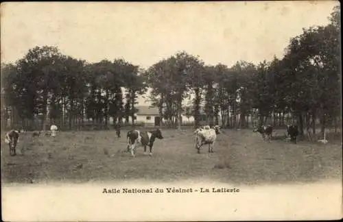 Ak Le Vésinet Yvelines, Asile National, La Laiterie, champ, vaches