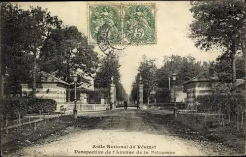 Ak Le Vésinet Yvelines, Asile National, Avenue de la Princesse, porte d'entrée